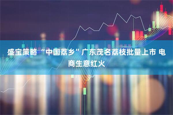 盛宝策略 “中国荔乡”广东茂名荔枝批量上市 电商生意红火