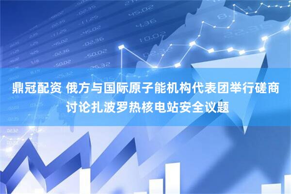 鼎冠配资 俄方与国际原子能机构代表团举行磋商 讨论扎波罗热核电站安全议题