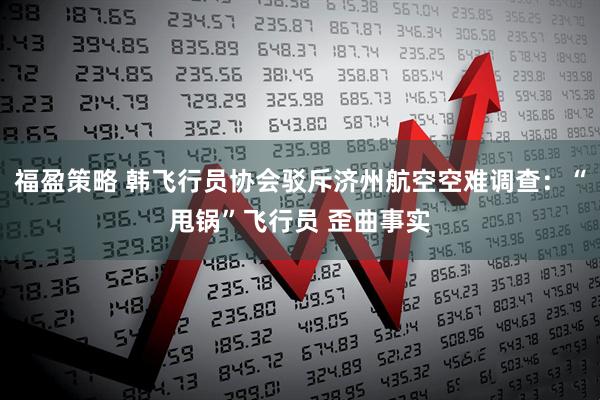 福盈策略 韩飞行员协会驳斥济州航空空难调查：“甩锅”飞行员 歪曲事实