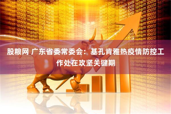 股粮网 广东省委常委会：基孔肯雅热疫情防控工作处在攻坚关键期