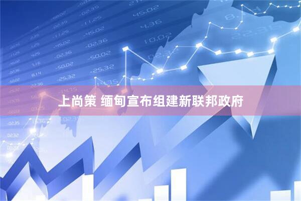 上尚策 缅甸宣布组建新联邦政府