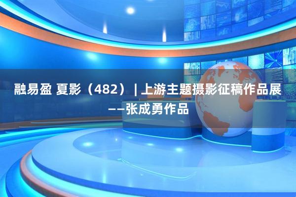 融易盈 夏影（482） | 上游主题摄影征稿作品展——张成勇作品