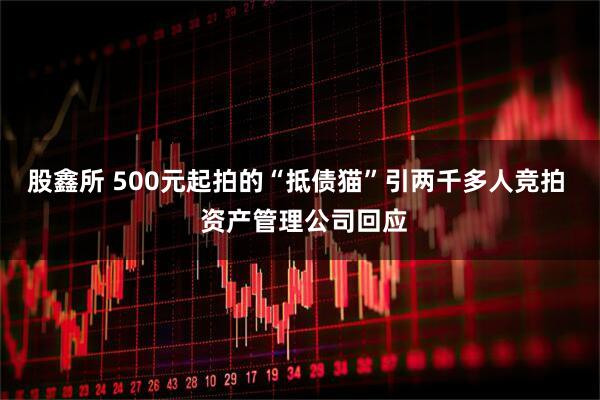 股鑫所 500元起拍的“抵债猫”引两千多人竞拍  资产管理公司回应