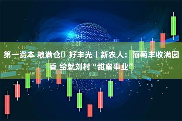 第一资本 粮满仓・好丰光丨新农人：葡萄丰收满园香 绘就刘村“甜蜜事业”