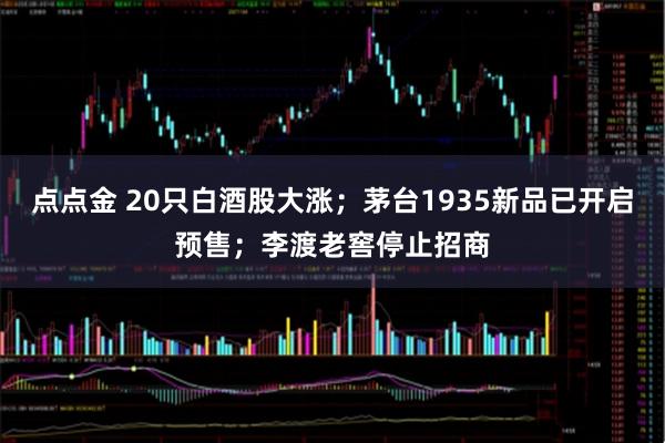 点点金 20只白酒股大涨；茅台1935新品已开启预售；李渡老窖停止招商