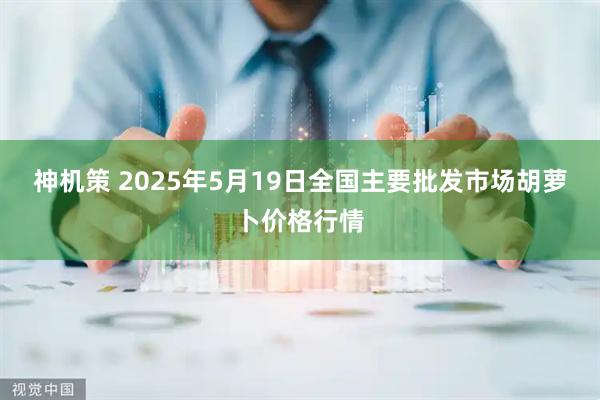 神机策 2025年5月19日全国主要批发市场胡萝卜价格行情