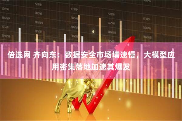 倍选网 齐向东：数据安全市场增速慢，大模型应用密集落地加速其爆发