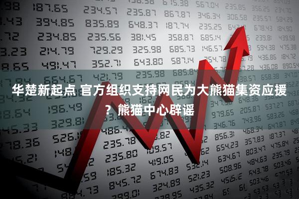 华楚新起点 官方组织支持网民为大熊猫集资应援？熊猫中心辟谣